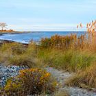 Herbstliche Ostsee