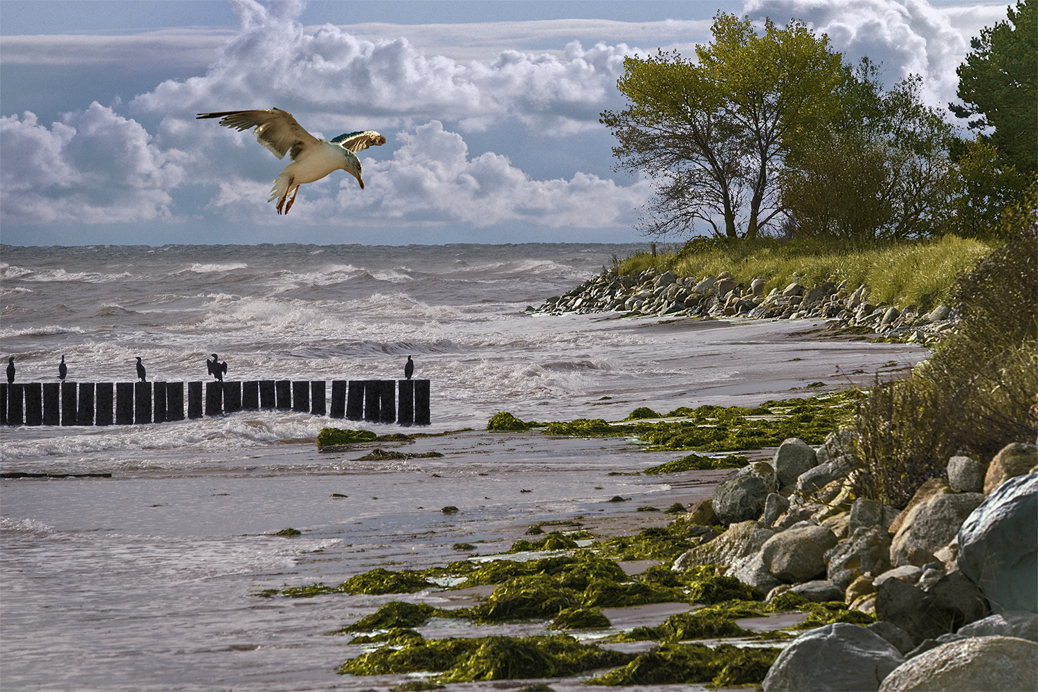 Herbstliche Ostsee