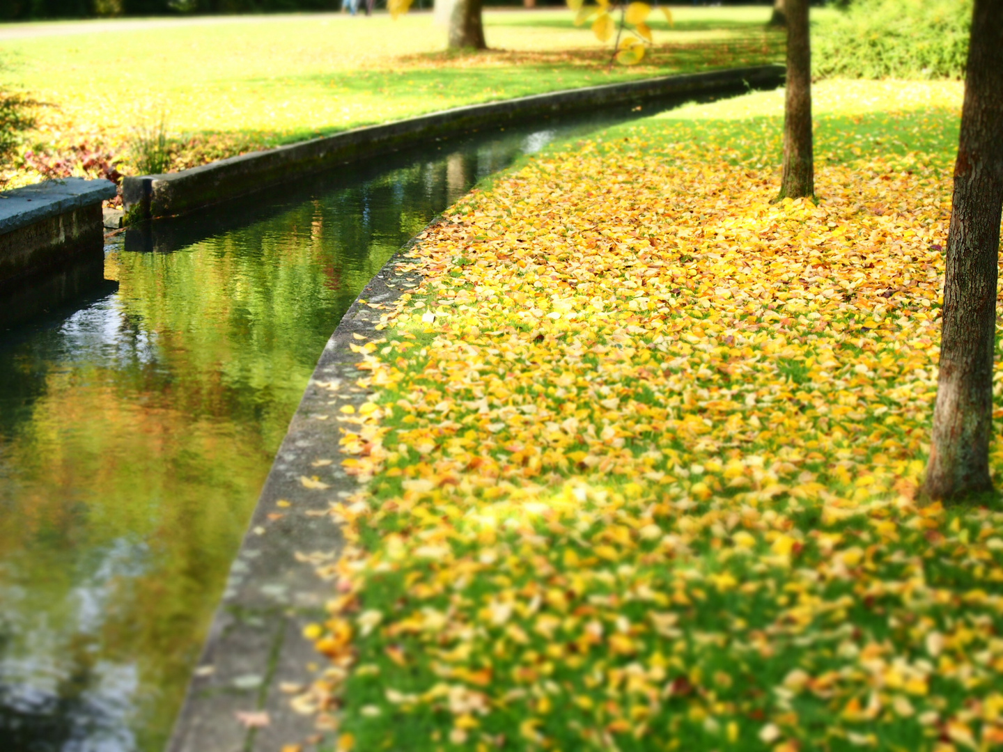 Herbstliche Paderquellen