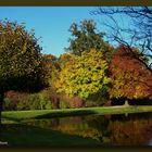 Herbstliche Parkanlage