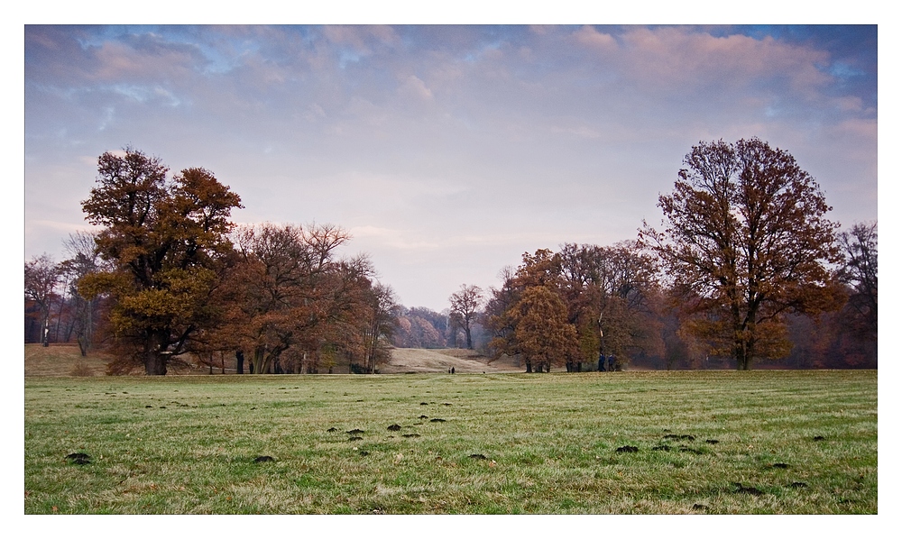 Herbstliche Parklandschaft