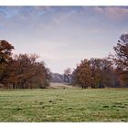 Herbstliche Parklandschaft