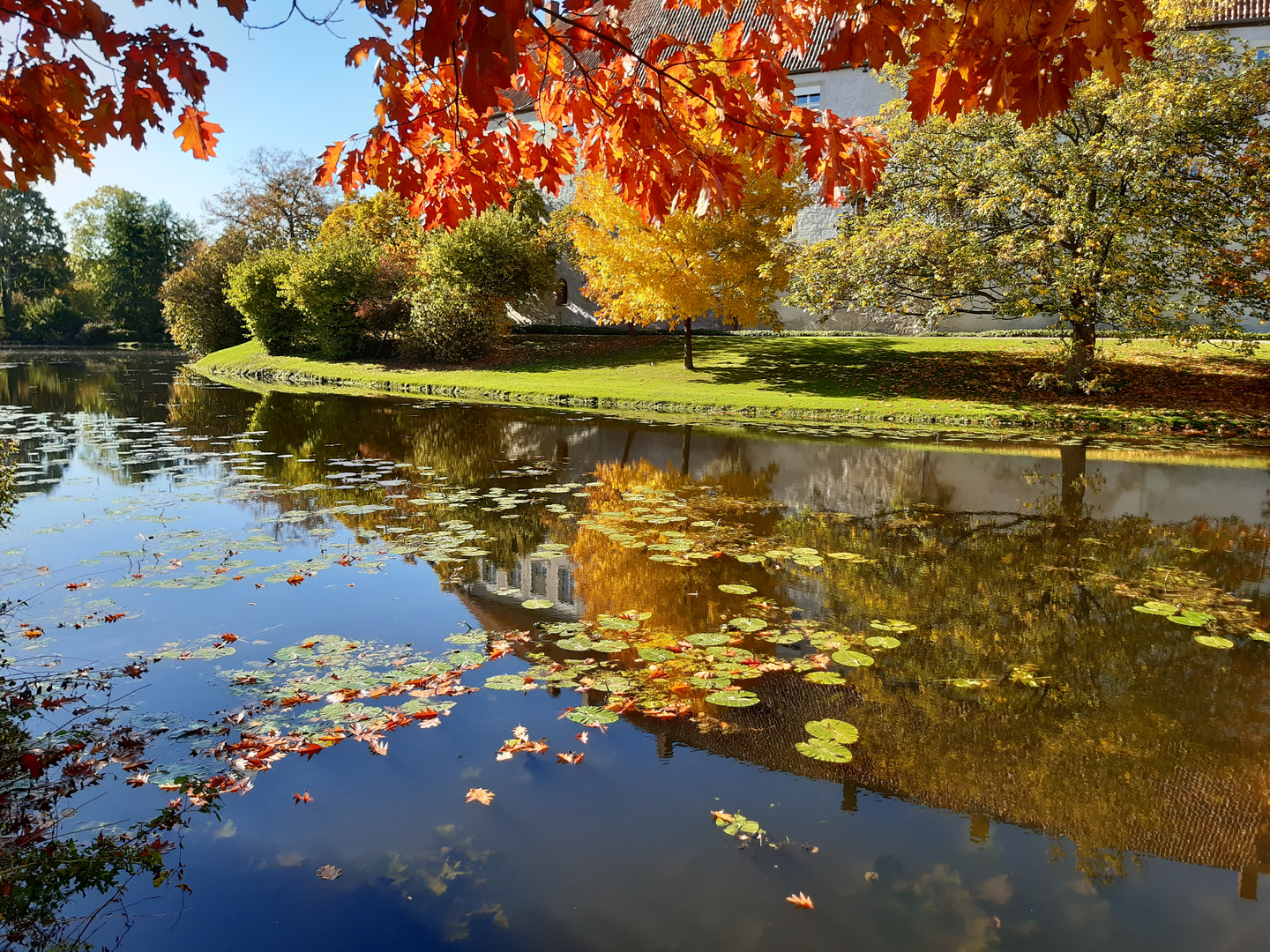 Herbstliche Parklandschaft