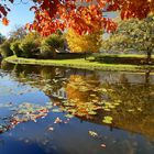 Herbstliche Parklandschaft