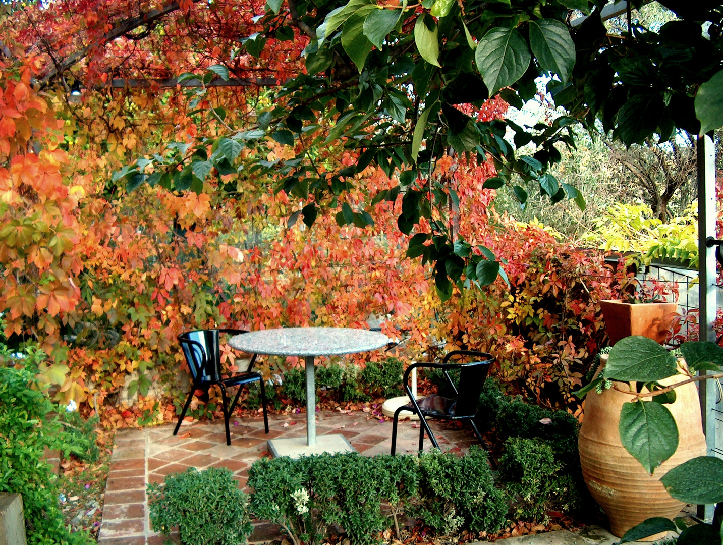 Herbstliche Pergola