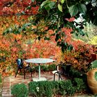 Herbstliche Pergola