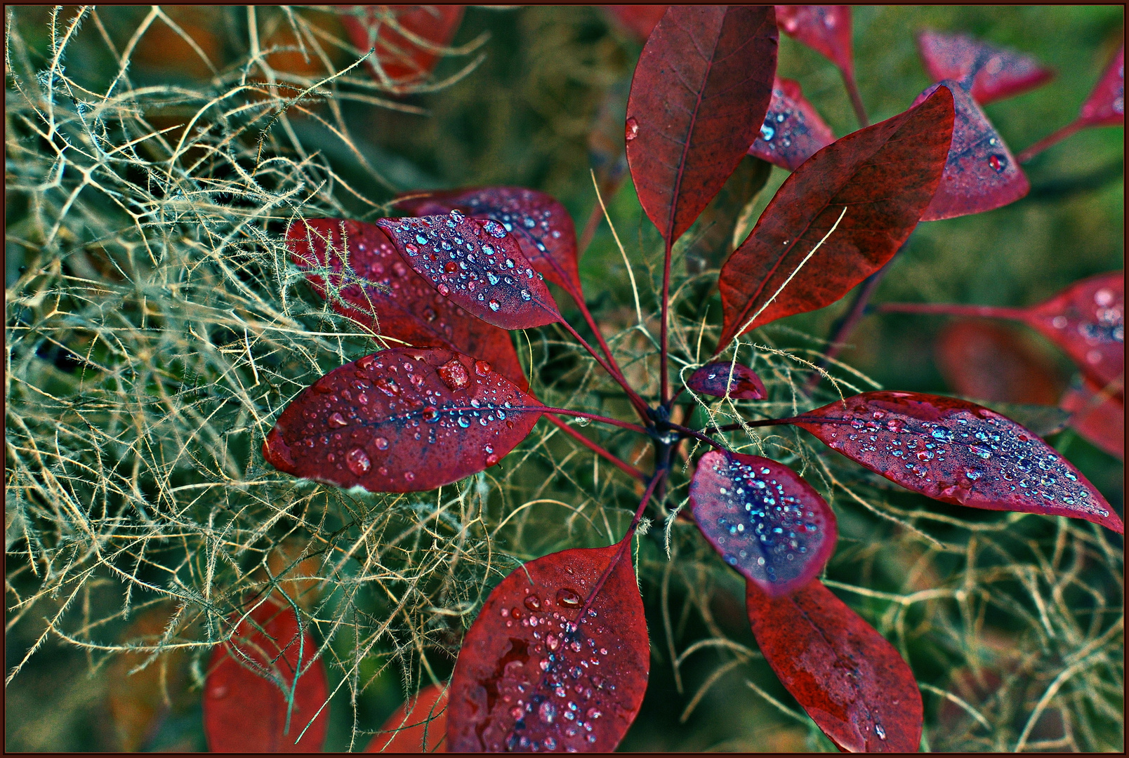 Herbstliche Perücke