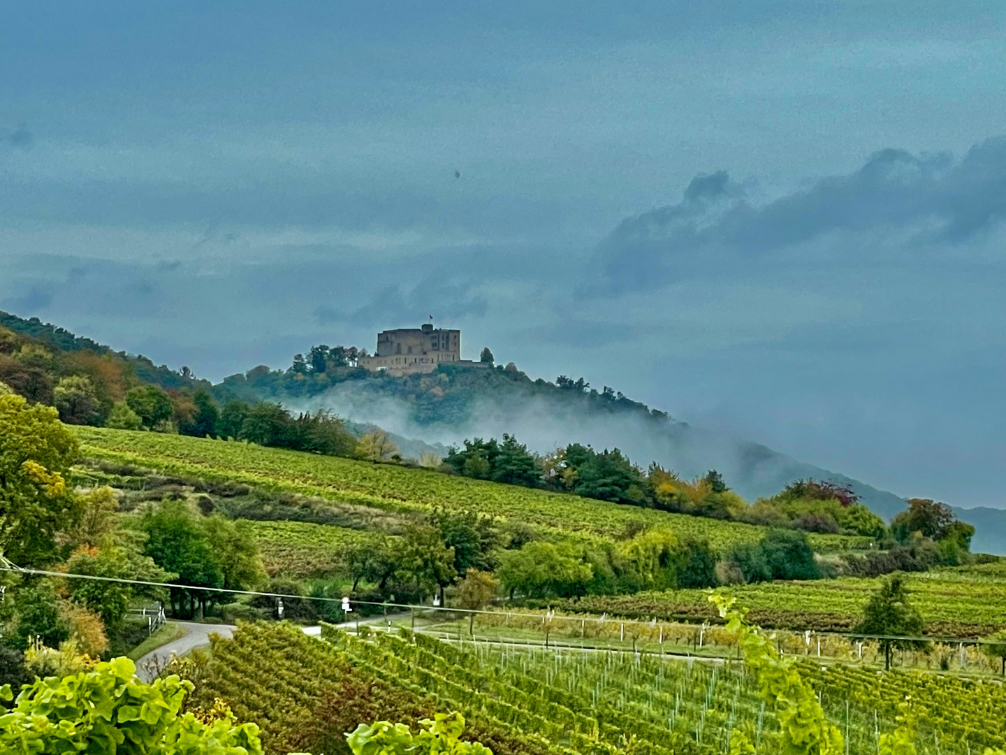 Herbstliche Pfalz 2