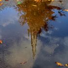 Herbstliche Pfützen Spiegelung