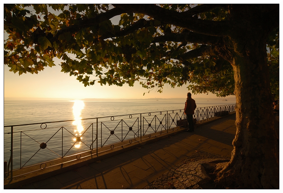 Herbstliche Promenade in Meersburg