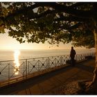 Herbstliche Promenade in Meersburg