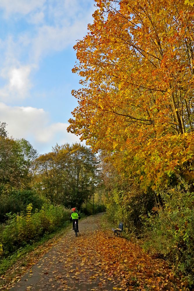 herbstliche Radtour