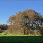 herbstliche Radtour