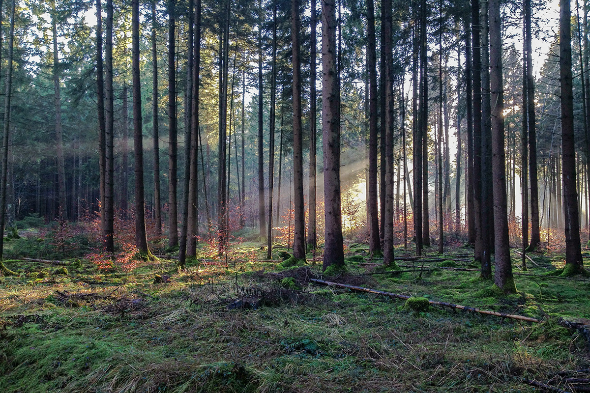 herbstliche Radtour