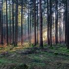 herbstliche Radtour