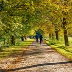 Herbstliche Radtour durchs Ammerland