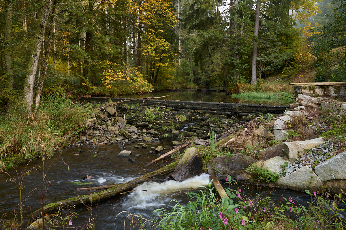 Herbstliche Ranna...