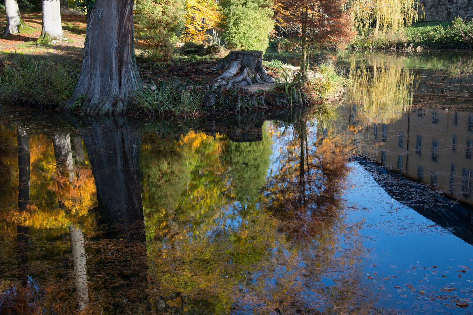 Herbstliche Reflektion