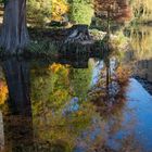 Herbstliche Reflektion