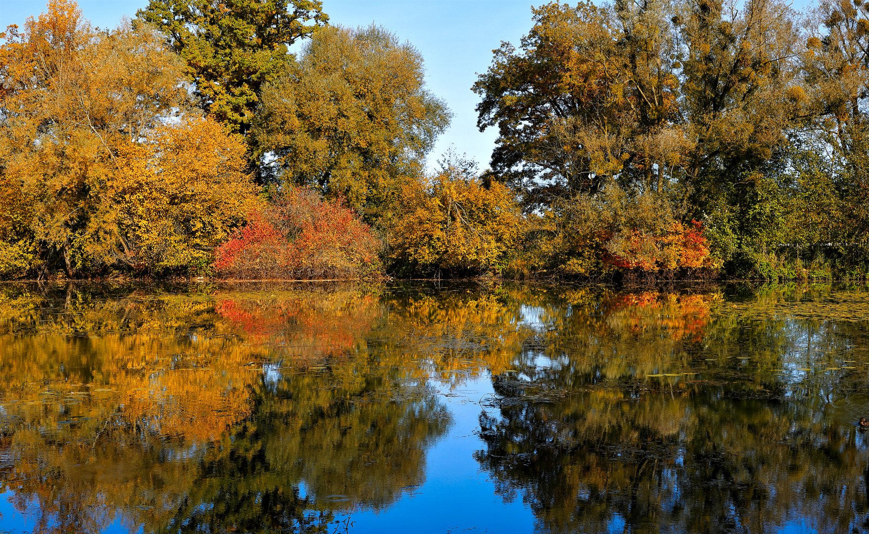 Herbstliche Reflexionen