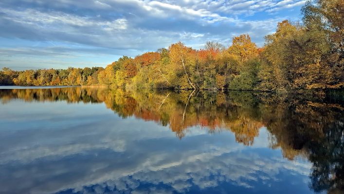  herbstliche Reflexionen in Wasser