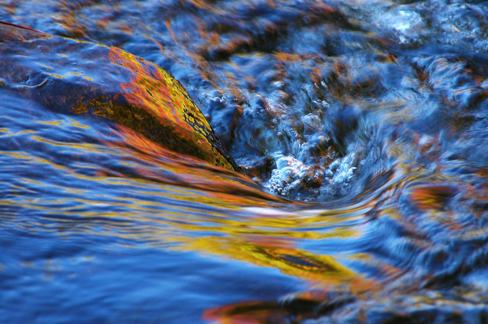 Herbstliche Reflextionen