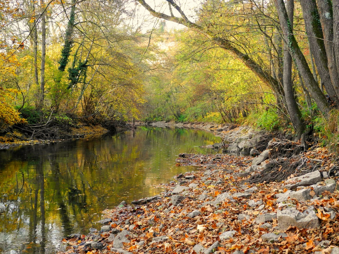 Herbstliche Rems