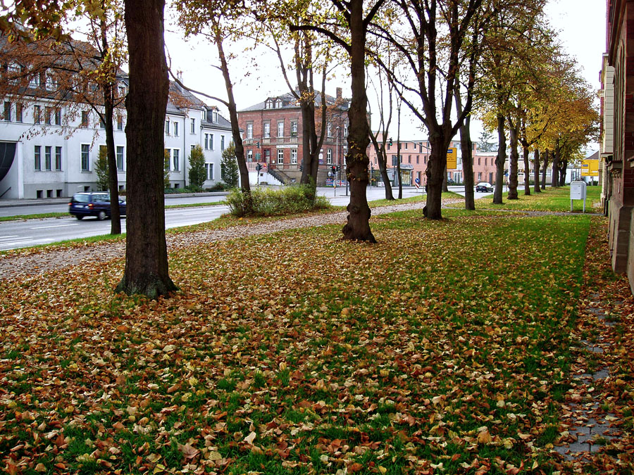 Herbstliche Residenzstraße