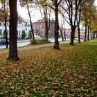 Herbstliche Residenzstraße