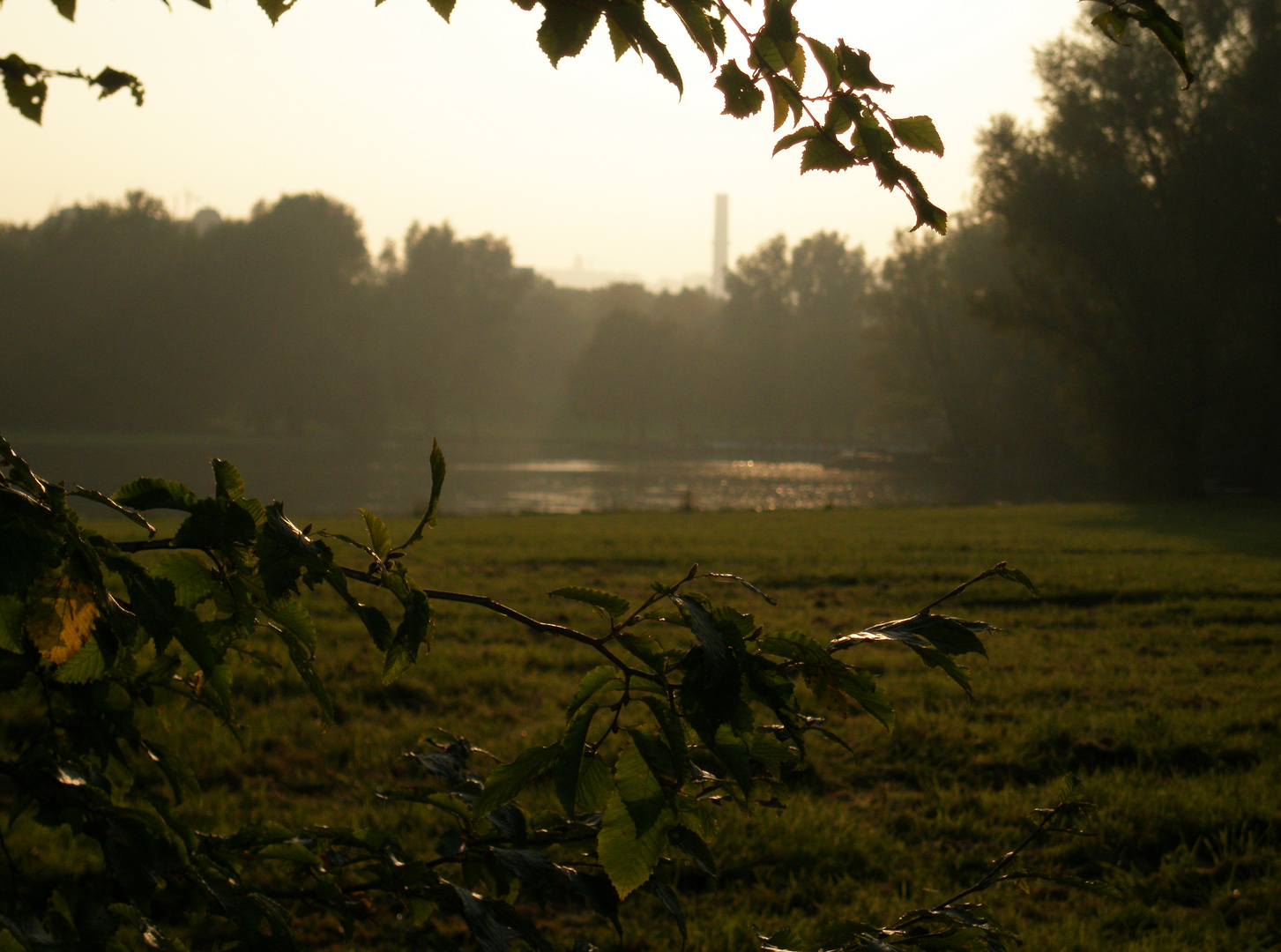 Herbstliche Rheinaue