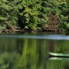 Herbstliche Rheinauen