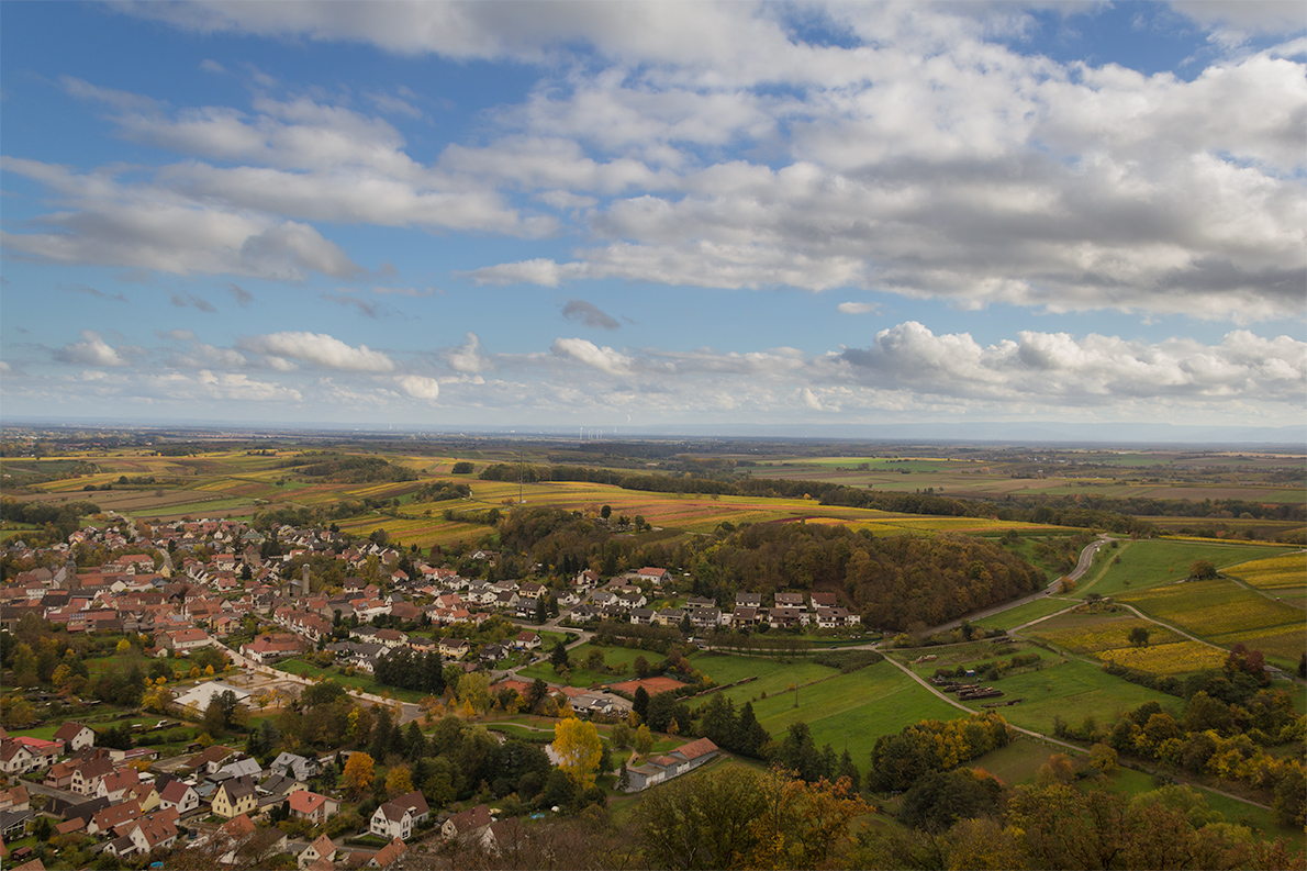 Herbstliche Rheinebene ...