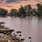 Herbstliche Rheinlandschaft