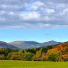 Herbstliche Rhön