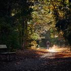 herbstliche Rückblende