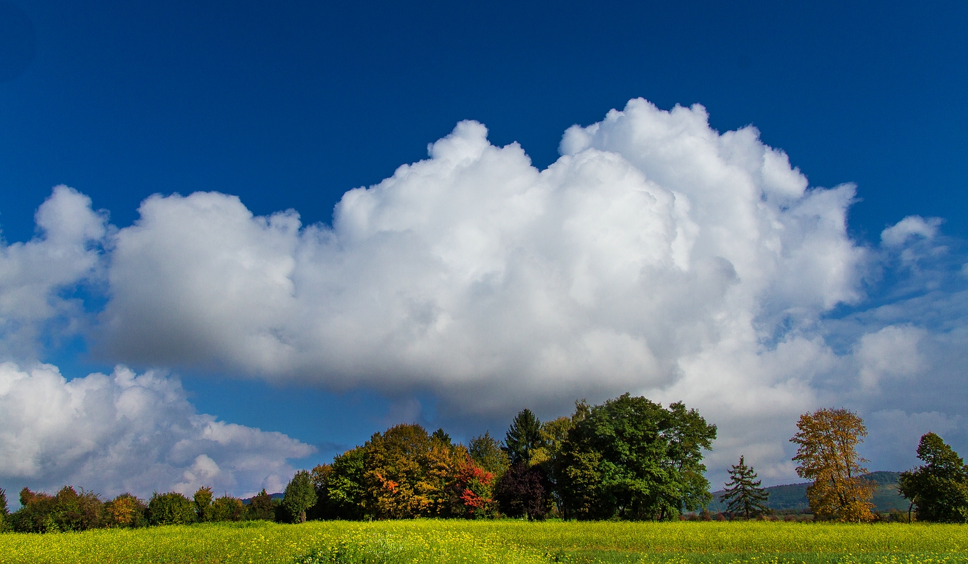 Herbstliche Ruhe - 3 - 