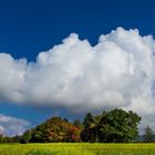 Herbstliche Ruhe - 3 - 