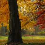 herbstliche Ruhe