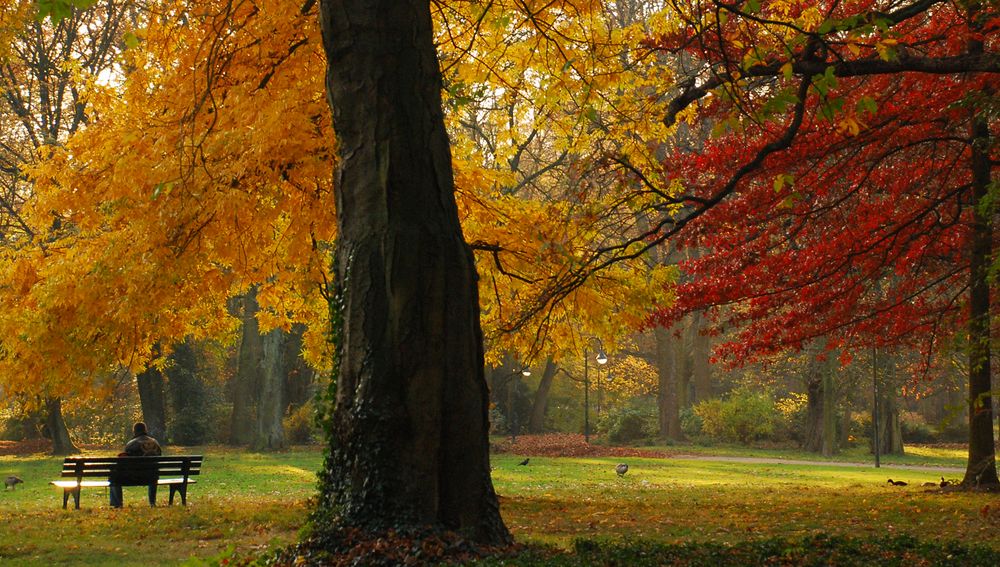 herbstliche Ruhe