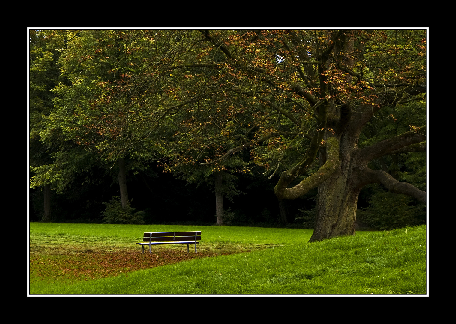 herbstliche Ruhe