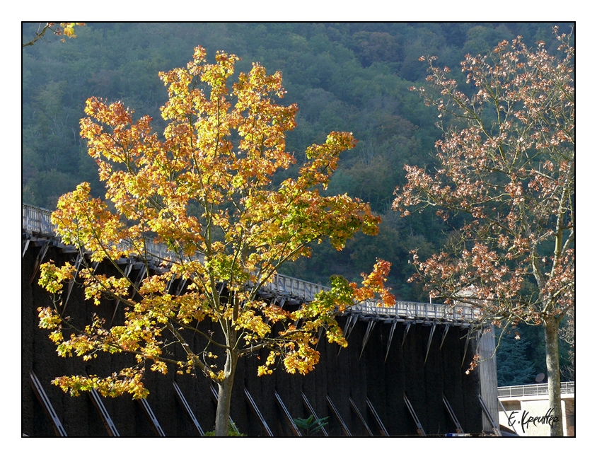 Herbstliche Salinen