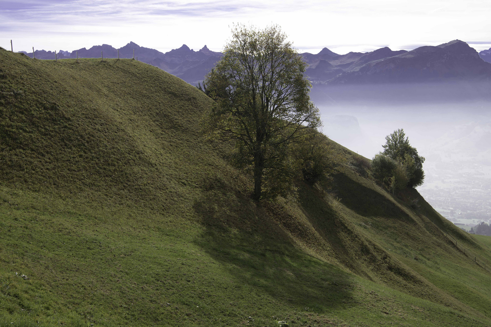 herbstliche Schatten- und Farbspiele