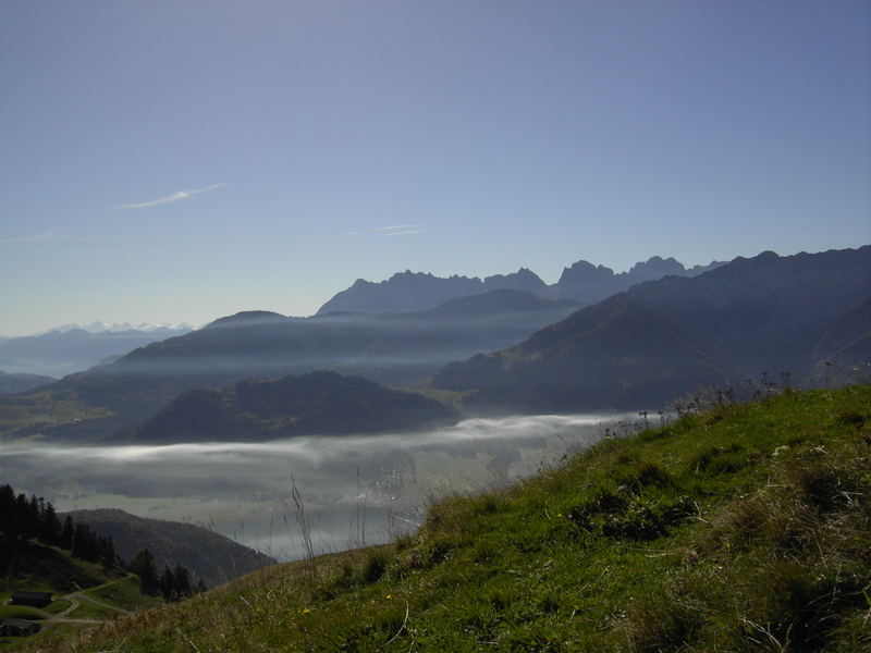 Herbstliche Schleier