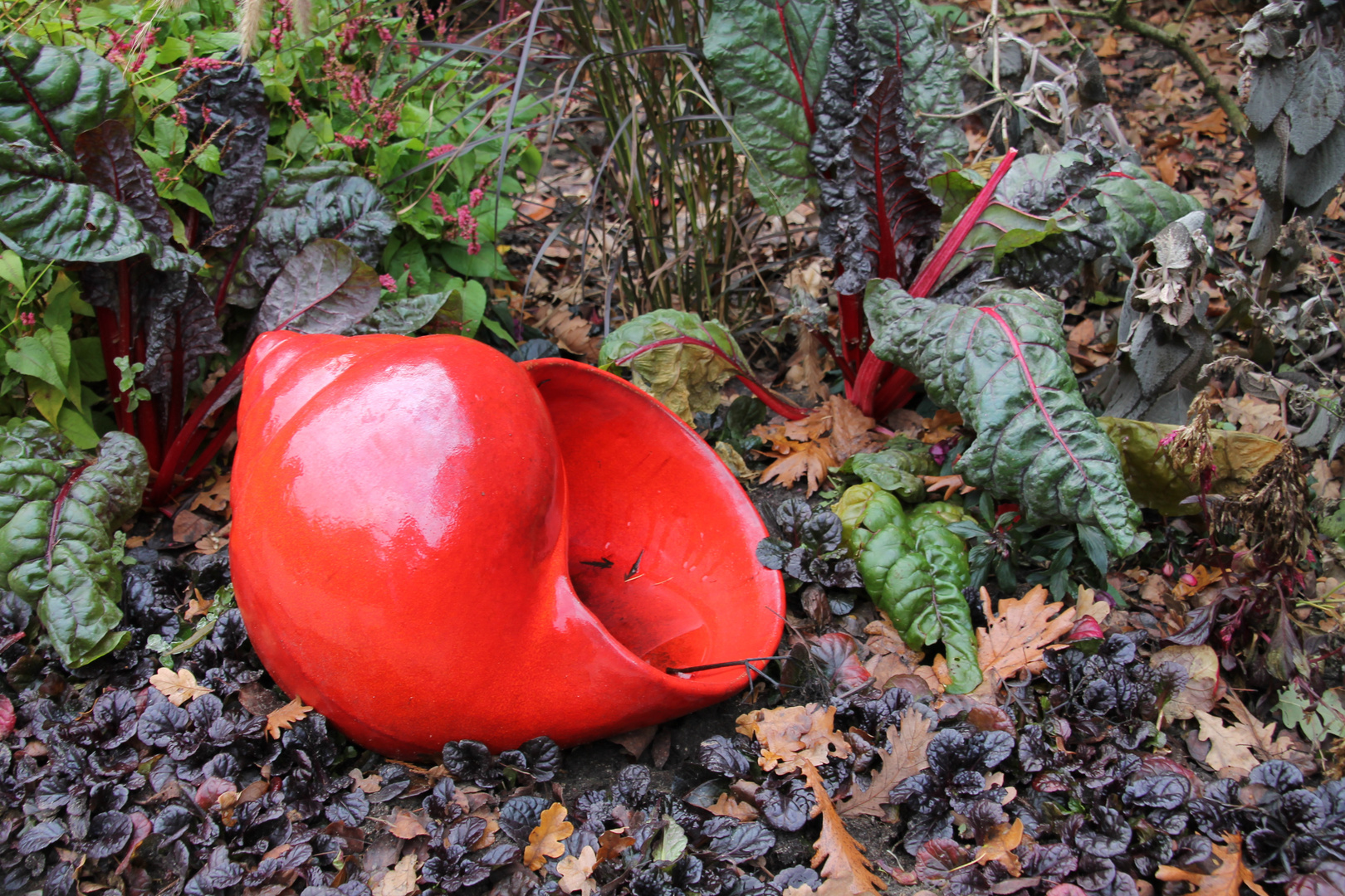 Herbstliche Schnecke