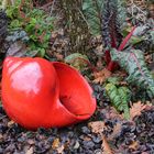 Herbstliche Schnecke