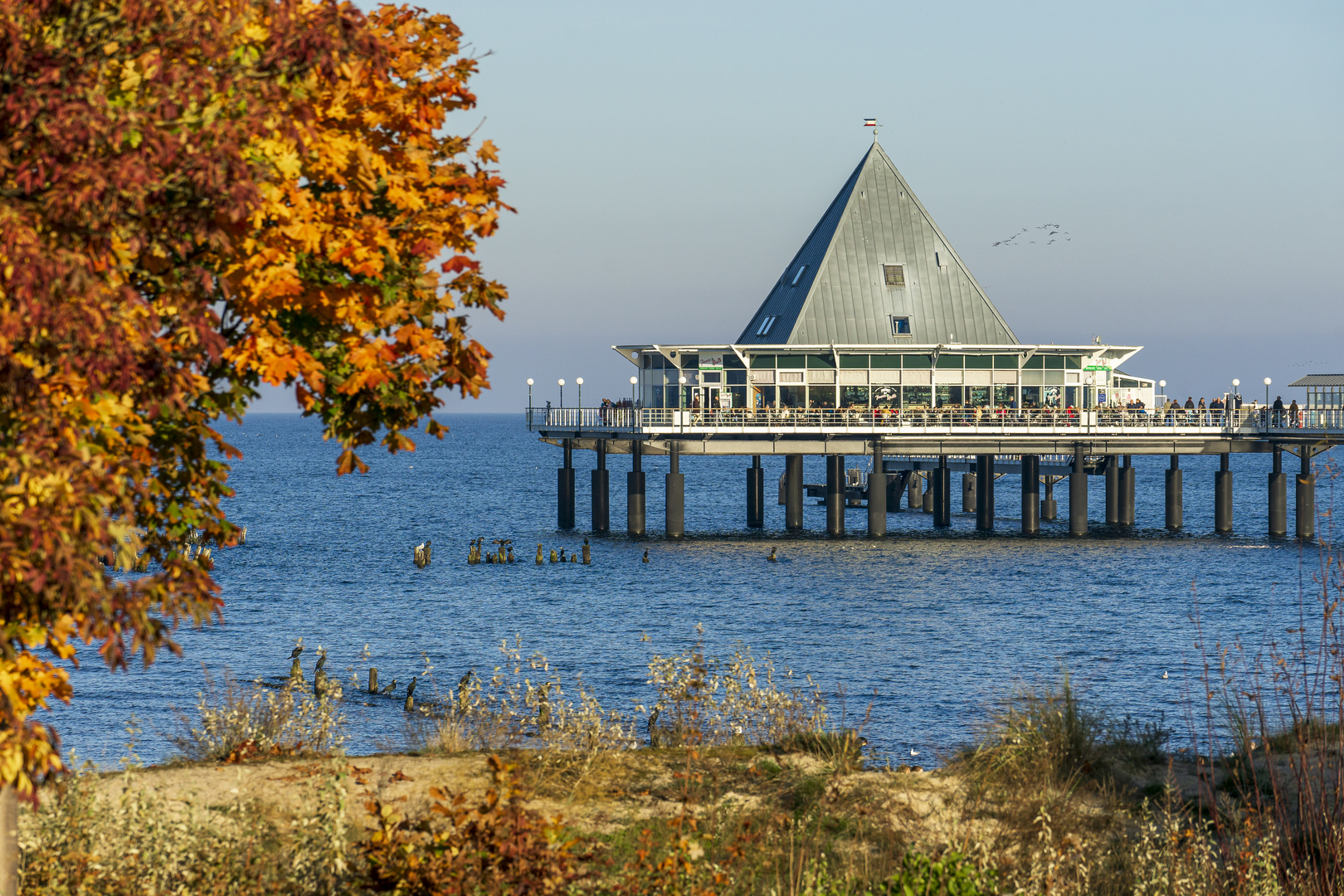 Herbstliche Seebrücke zu Heringsdorf