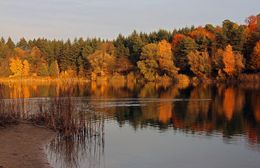 herbstliche Seeidylle