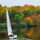 Herbstliche Seglerfreude