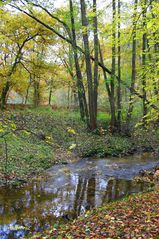 herbstliche Simmung am Mühlbach