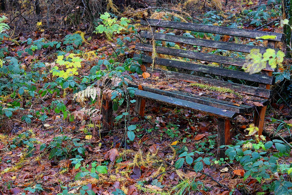 Herbstliche Sitzgelegenheit